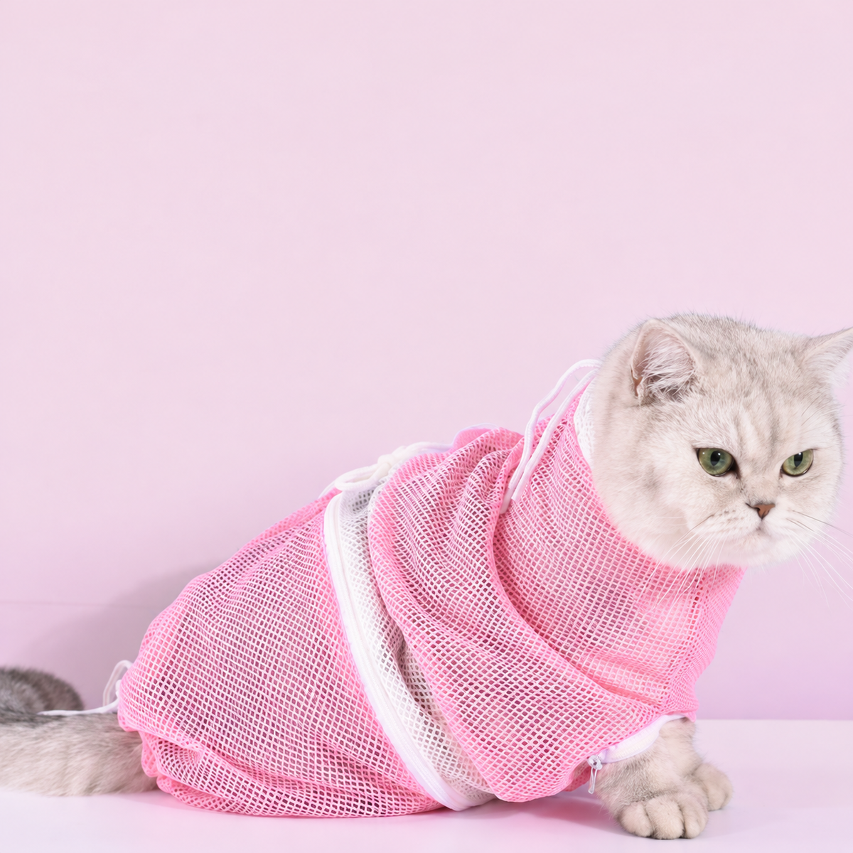 CatSafe Grooming Bag 🐾 Wash. Protect. Care. — A Safer Way To Bathe Your Cat.