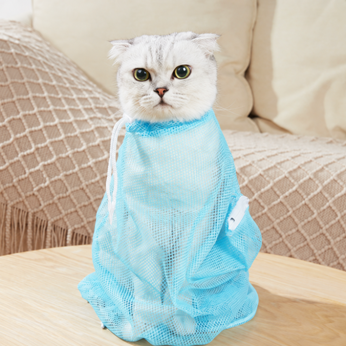 CatSafe Grooming Bag 🐾 Wash. Protect. Care. — A Safer Way To Bathe Your Cat.